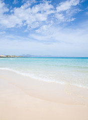 Fototapeta na wymiar Fuerteventura, beautiful sandy beach