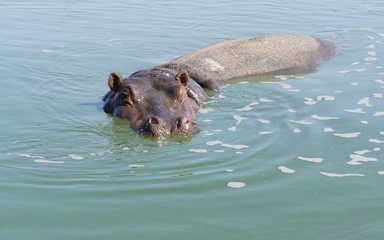 SONY DSC