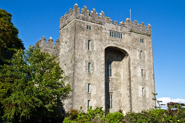 Fototapeta premium Bunratty castle in west Ireland