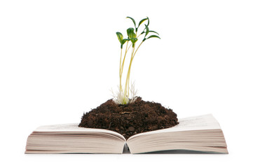 Knowledge concept with books and seedlings