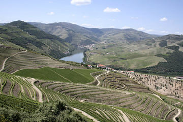 Fototapeta na wymiar Vallée du Douro, Portugalia