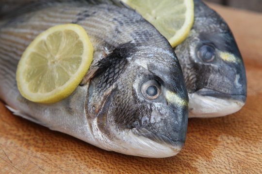 poissonier