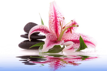 Wasser,Steine © Swetlana Wall