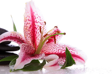 Wellness,Massage © Swetlana Wall