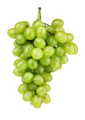 Ripe green grapes isolated on white