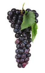 Ripe red grapes isolated on white