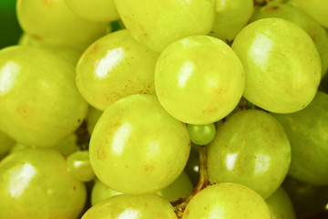 Ripe green grapes close-up