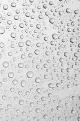 water drops background