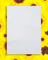 paper on the sunflower background