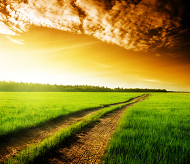 ground road and sunset