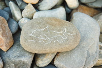 painted dolphin
