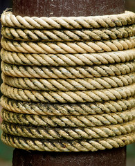 rope tied around a wooden log