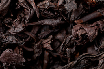 closeup of chinese tea