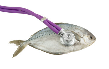 Ocean health concept, fish and stethoscope isolated