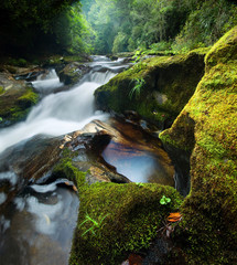 Fototapeta premium Lush Rain Forest Waterfall on Chattooga River