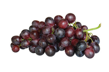 Obst 233