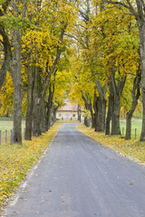 Countryside road in