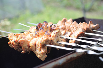 Shish kebab