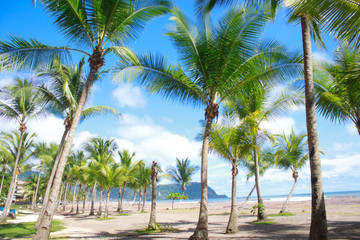 Beautiful tropical beach with palmtrees in Jaco, Costa Rica - Powered by Adobe