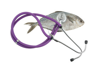 Ocean health concept, fish and stethoscope isolated