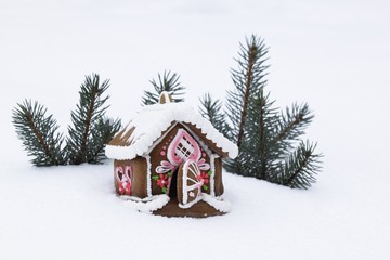 Obraz na płótnie Canvas Christmas gingerbread house