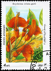 AFGHANISTAN - CIRCA 1985 Erythrina