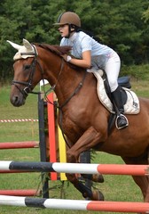 sport equestre