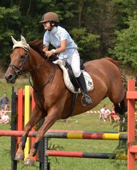 sport equestre