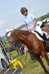 Fototapeta premium équitation