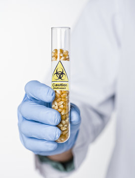 Hispanic scientist holding test tube with caution symbol containing