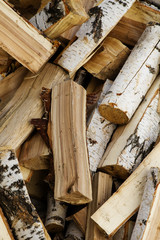 Dissected tree trunk firewood