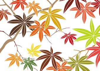 グラフィックパターン