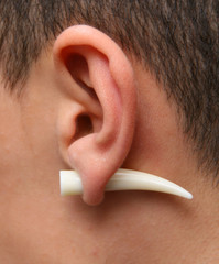 Ear with White Tusk or Horn style piercing
