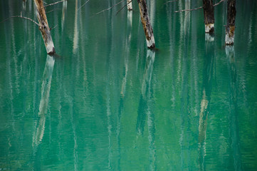 青い池