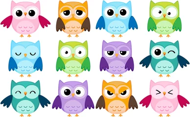 Wall murals Owl Cartoons Set of 12 cartoon owls with various emotions