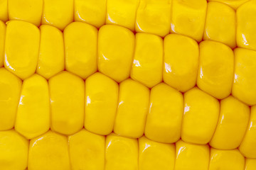corn © carballo