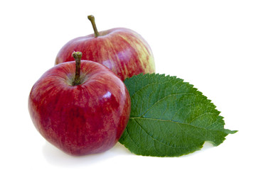 apples isolated on white