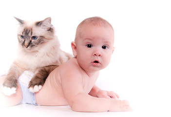 bébé et chat Sacré de Birmanie
