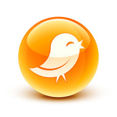 icône oiseau information / bird icon