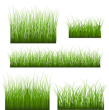 Vector Set Of Green Grass