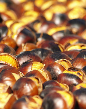 Castanhas quentinhas