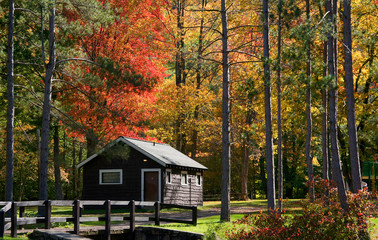 Colorful trees and cabins in Allegheny national forest