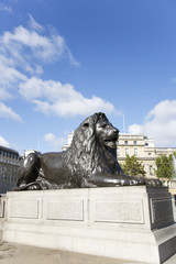 Lion statue  in Trafalgar Square