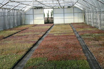 Naklejka premium Nursery