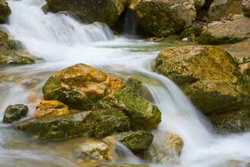 Naklejka na ściany i meble wet stones in stream