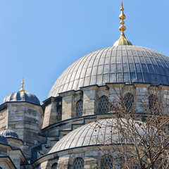 Fototapeta na wymiar yeni cammii mosque 03