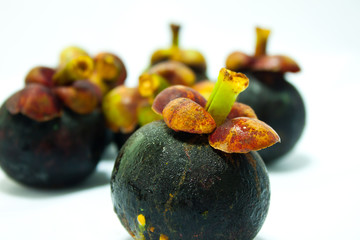 fresh mangosteens