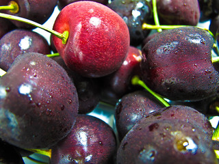 Black Cherry