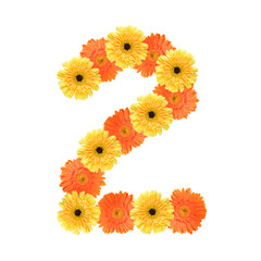 Number 2 created by flowers