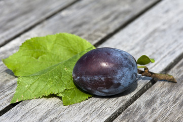 Pflaume/Zwetschge